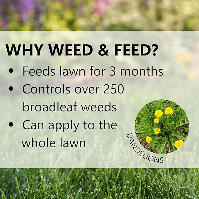 Jonathan Green (12344) Green-Up Weed & Feed - 21-0-3 Grass Fertilizer & Weed Killer (5,000 Sq. Ft.)
