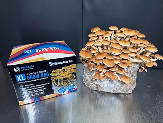 Myco Labs All-in-One Mushroom Grow Bag for Manure Loving Mushrooms + Spore Germination Jar! (6LB)