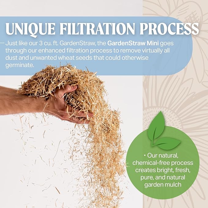 HealthiStraw GardenStraw Mini, 0.5 cu ft (4 lbs) Pack of 2 – Natural Mulch for Gardens, Vegetables & Lawn Seeding - Water-Conserving Wheat Straw - Thoroughly Cleaned, Sustainable