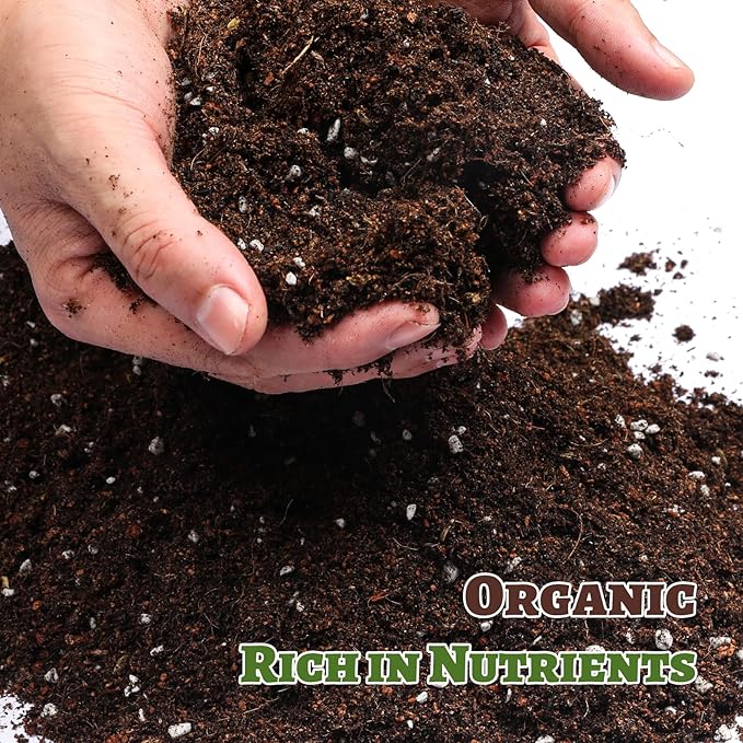 Organic Strawberry Soil Mix 10qt, Indoor Plants Potting Mix for All Potted Strawberry, Grow Healthy houseplants Indoors