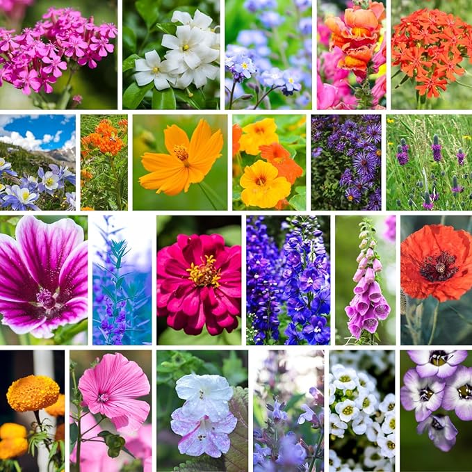 Hummingbird & Butterfly Wildflower Seed Mix - 4 Oz - Wild Flower Seed Mixture: Alyssum, Lemon Mint, Foxglove, More