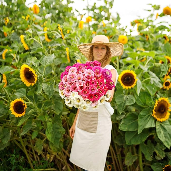 Eden Brothers Zinnia Seeds - Show Stopper Mix, Non-GMO Seeds for Planting, 1 oz | Low-Maintenance Flower Seeds, Plant During Spring, Zones 3, 4, 5, 6, 7, 8, 9, 10