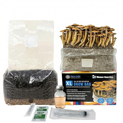 Myco Labs All-in-One Mushroom Grow Bag for Manure Loving Mushrooms + Spore Germination Jar! (6LB)