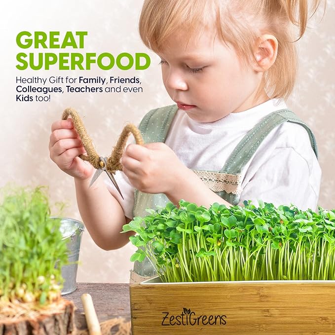 ZESTIGREENS Self Watering Microgreens Growing Kit. Hands Down The Easiest Way to Grow Microgreens. Includes Tray, Seeds, Mats, and Bamboo Surround. Great Gift for Gardeners