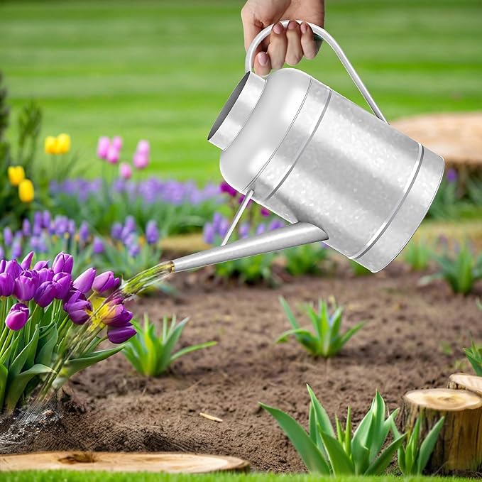 2.3 Gallon Bowl Decorative Countryside Style Water Can with Removable Spout, Galvanized Watering Can for Outdoor Indoor Plants, Metal Watering Can for Indoor Plants and Garden Flower
