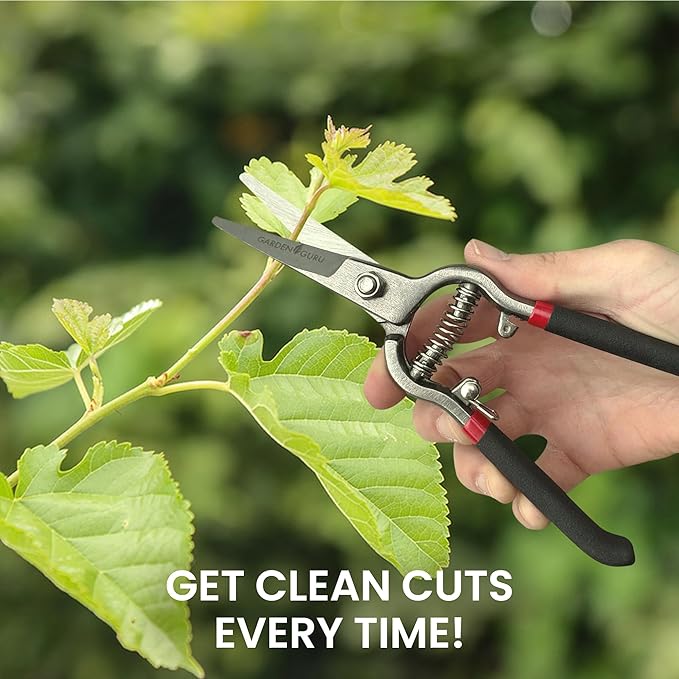 Garden Guru Classic Bypass Pruning Shears Clippers – Heavy Duty Forged Steel Garden Pruners – Safety Lock – Non Slip Comfort Grips – Cuts up to 1” Diameter – Professional Bypass Pruners (2 Pack)
