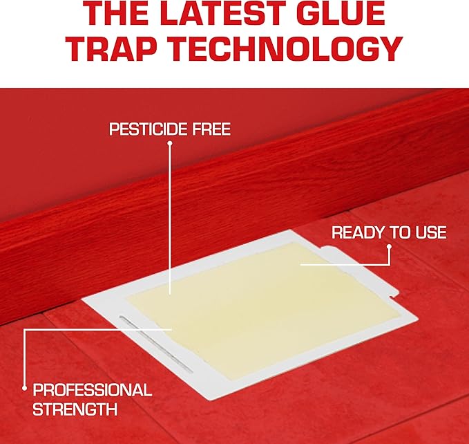 Tomcat Glue Boards with Immediate Grip Glue for Mice, Cockroaches, and Insects, Ready-to-Use, 8-Pack (32 Glue Boards)