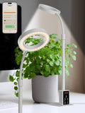 Grow Light with Stand, LED Plant Light for Indoor Plants, Full Spectrum Grow Lamp, Adjustable Height (White, 8W)