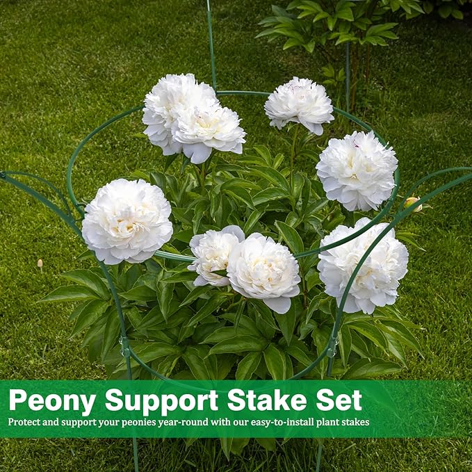 2 Pack Peony Cages and Supports Cages 13" D x 22.8" H Sturdy Metal Support Frame for Peonies & Roses Natural Bouquet Shape Garden Stakes for Outdoor Plants Flowers Ornamental (Green)