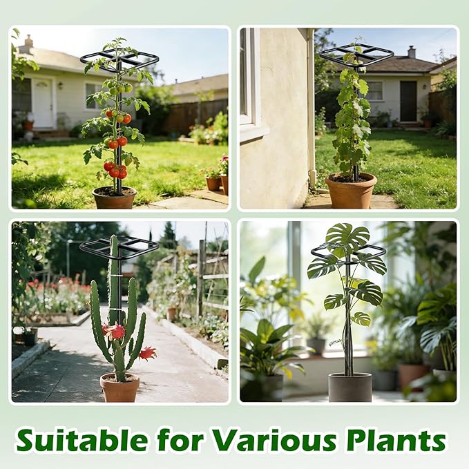 Extra Thick Adjustable Dragon Fruit Trellis,Durable Metal Plant Trellis Outdoor Climbing Plants Support Frame for Vertical Gardening Trees Cactus Black