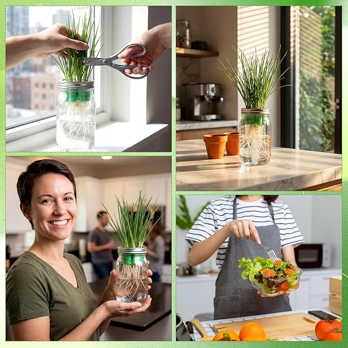 Seed Sprouting Set Green Onion Regrower Kit Includes Regrower Sprouting Lids and a Mouth Mason Jar for Sustainable Windowsill Gardens, Hydroponics, and Propagation Hydroponics Enthusiasts