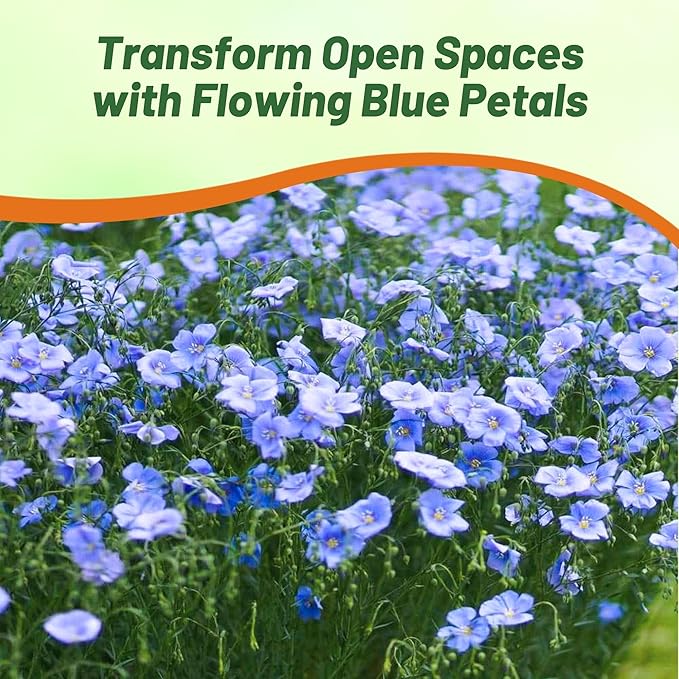 Outsidepride Blue Flax Seeds - 1 lb Perennial Flower Seeds for Planting, Self-Seeding, Drought-Tolerant w/Compact Growth, Ideal for Small Gardens, Meadows, Borders, or Mass Plantings