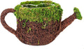 SuperMoss (55259) 5" Deco Watering Can Planter Basket, Small