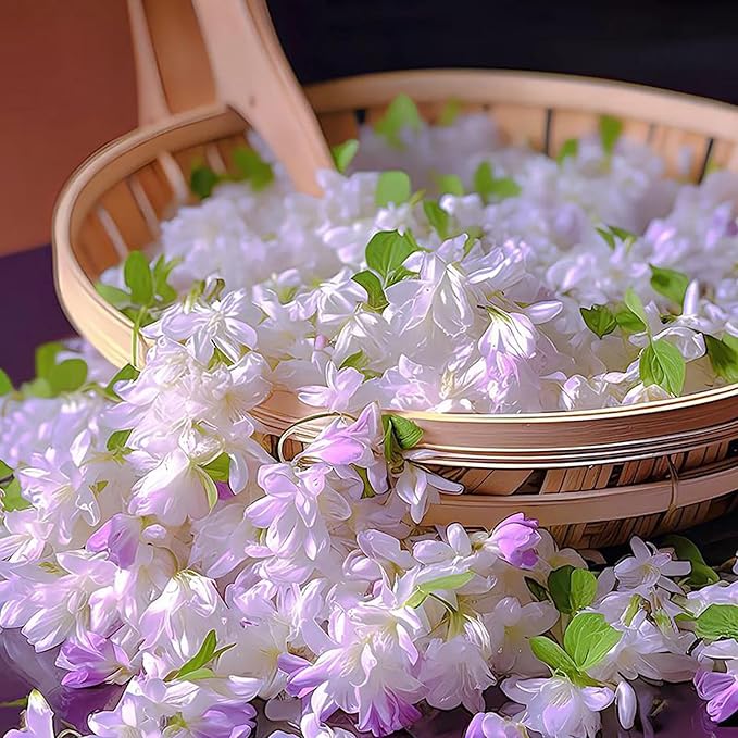 Climbing Jasmine Seeds for Planting, 400+pcs Fragrant Climber Jasmine Perennial Flower Seeds Plants, Heirloom Non-GMO Beauty Climbing Flowers for Home Garden Outdoors