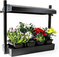 SunBlaster SL1600218 LED Indoor Micro Growlight Garden Home Growing Kit, Black