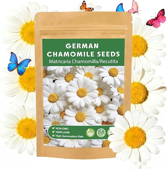 LUOJIBIE German Chamomile Seeds, 30,000+ Chamomile Flower Seeds Bulk for Planting Outdoor Indoor Garden, Heirloom & Non-GMO Matricaria Chamomilla/Recutita Herb Seeds, Easy to Grow