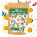 LUOJIBIE German Chamomile Seeds, 30,000+ Chamomile Flower Seeds Bulk for Planting Outdoor Indoor Garden, Heirloom & Non-GMO Matricaria Chamomilla/Recutita Herb Seeds, Easy to Grow