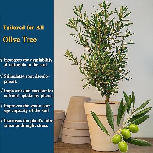 Olive Tree Fertilizer for All Olive and Oleaceae Trees, Liquid Plant Food for Fruit Trees Lush Foliage, Strong Roots, and Plump Olive Fruits, Nutrient-Rich Formula, 10oz
