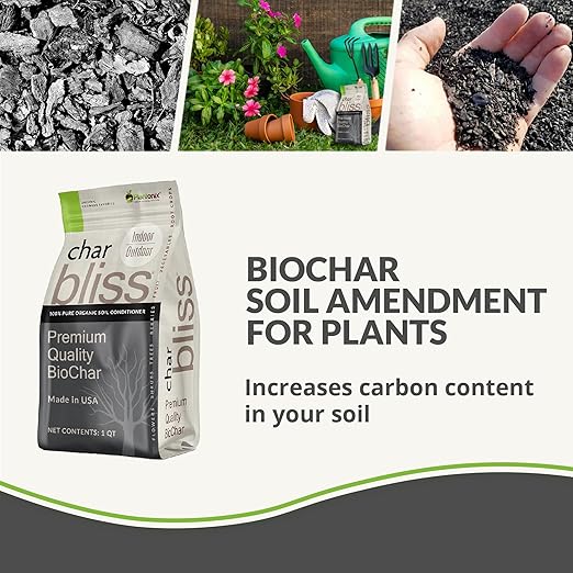 Worm Bliss (2 Gallons) + Char Bliss (8 Qts) - Organic Worm Castings for Plants & Organic Biochar for Plants - Biochar Soil Amendment - Charcoal for Plants - Earthworm Castings Organic Fertilizer