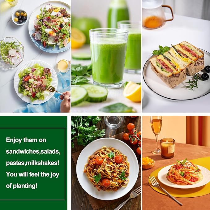 64PCS Microgreens Kit, 5" X 5" Hydroponic Sprouting Pads Microgreen Grow Mat Indoor Organic Production for Microgreen Starter Tray Wheatgrass Sprouts