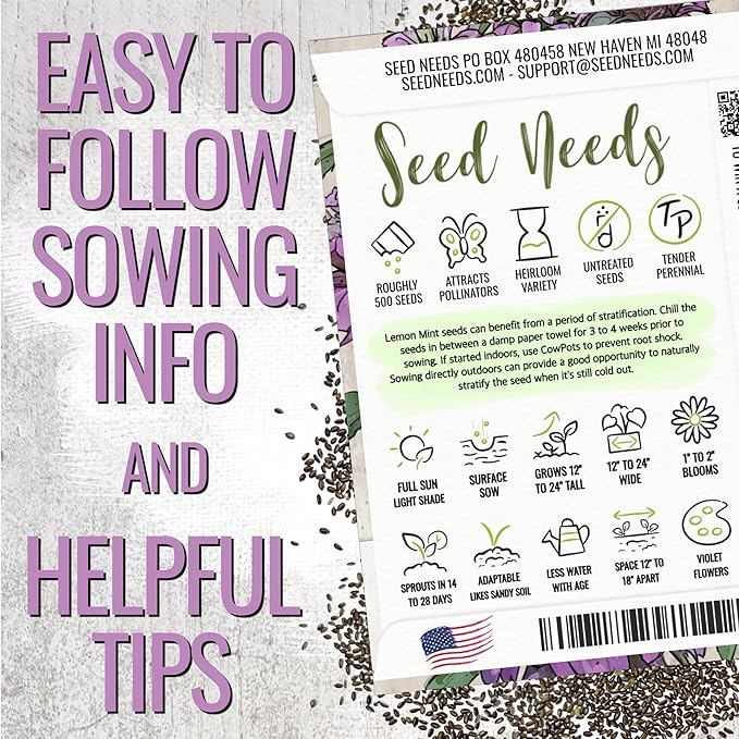 Seed Needs Lemon Mint Seeds for Planting Monarda citriodora Herbs - Grow a Non-GMO Heirloom & Untreated Medicinal Herb Garden Indoors or Outdoors - Popular in Herbal Tea (2 Packs)