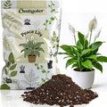 Premium Peace Lily Potting Soil 4qt– All Natural, Well-Draining & Breathable Soil for Peace Lily & Indoor Plants