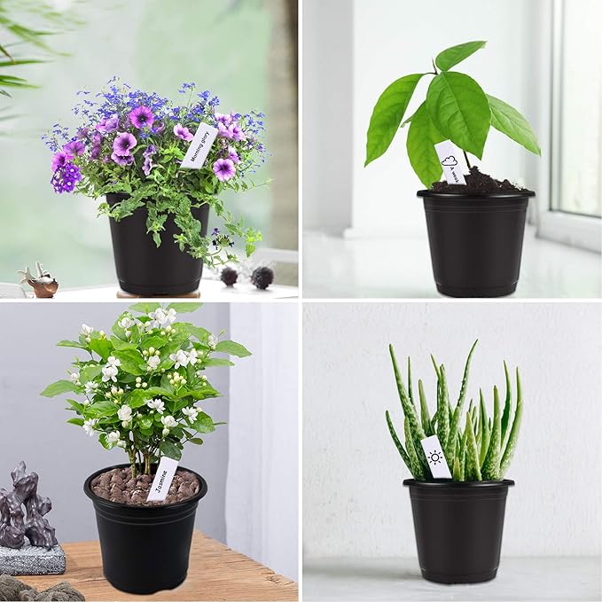 Augshy 50 Pcs 0.5 Gallon Black Plastic Plant Nursery Pots 6 Inches Seed Starting Pots Containers with 50 Labels