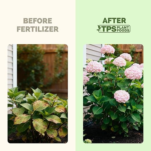 Hydrangea Fertilizer for Acid Loving Plants, Liquid Plant Food, 1 Gallon (128 oz)