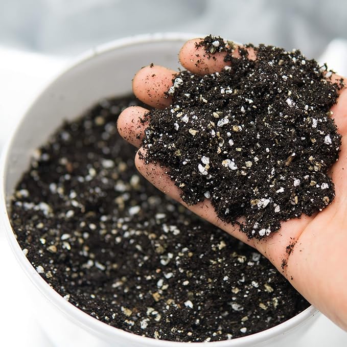 Horticultural Grade Perlite - Five 8 Quart Bag ~2 Lbs Each - (~1/8 Inch Particles) - Soil Amendment Additive - for Growth, Aeration & Drainage for Potting Mix