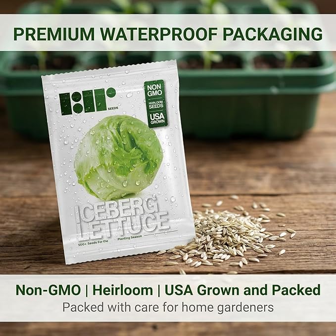500 Iceberg Lettuce Seeds for planting - Heirloom Non-GMO USA Grown Premium Vegetable Seeds for Planting Home Garden - Crisphead Heading Lettuce Lactuca Sativa by RDR Seeds