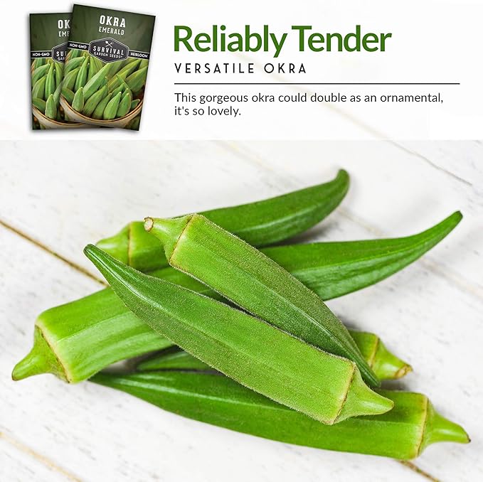 Survival Garden Seeds - Emerald Okra Seed for Planting - Packet with Instructions to Plant and Grow Tender and Large Okra in Your Home Vegetable Garden - Non-GMO Heirloom Variety - 5 Pack