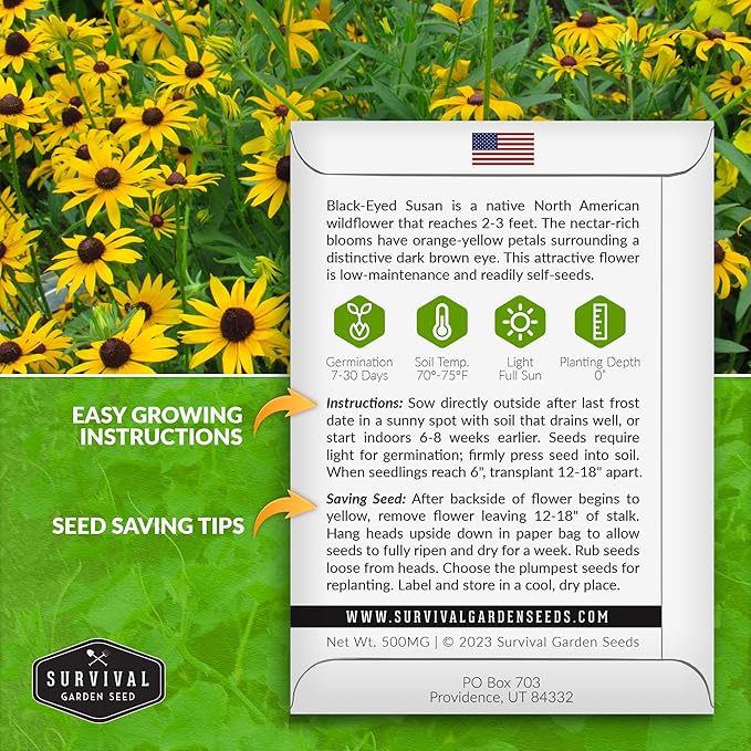 Black-Eyed Susan Seeds for Planting Outdoors - Perennial Native Wildflower - Heirloom Rudbeckia Hirta for Pollinator Gardens - Survival Garden Seeds (2 Packs)