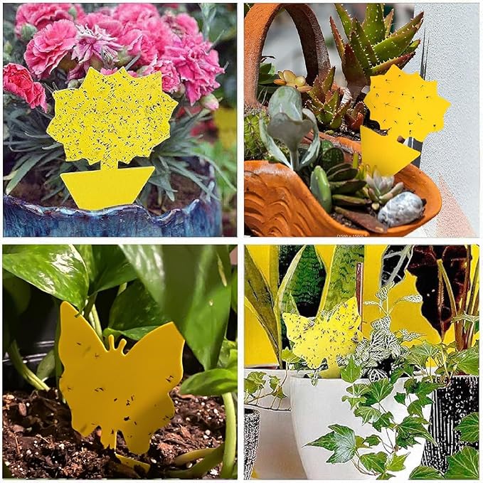 58 Pack Flying Insect Traps for Plants – Yellow Sticky Traps for Fungus Gnats, Flies & Flying Bugs, Indoor Outdoor Flying Bug Catcher for Pots, Garden & Kitchen, Kid & Pet Safe, Non-Toxic, Odorless