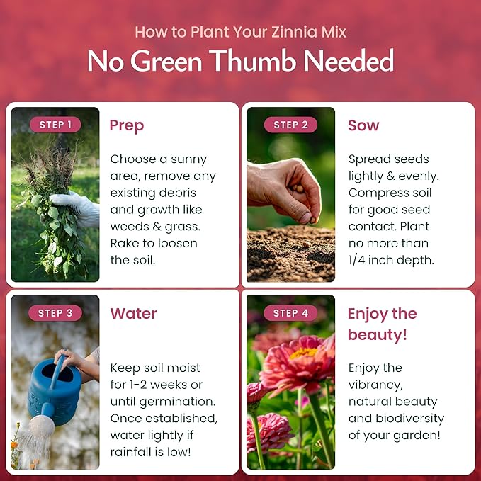 Created By Nature California Giant Zinnia Wildflower Seeds, Multi-Colored Flower Varieties, 2,200+ Non-GMO Seeds