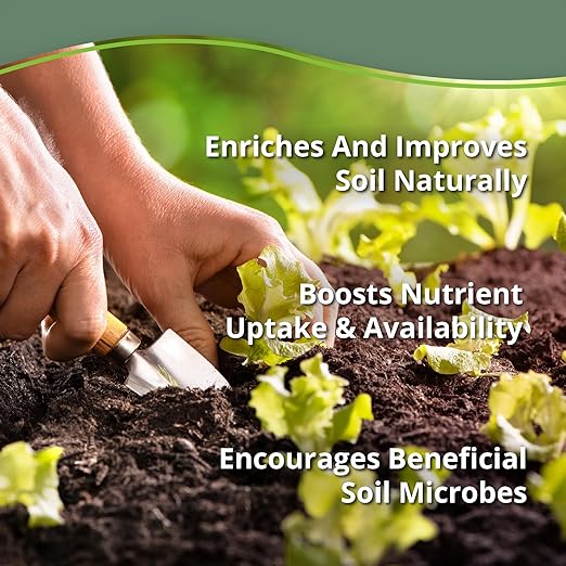 Kelp Bliss (1lb) + Neem Bliss (1lb) - Kelp Meal Organic Fertilizer & Neem Cake for Plants - Kelp Fertilizer for Plants - Neem Seed Meal Fertilizer - Natural Plant Food Rich in Vitamins & Nutrients