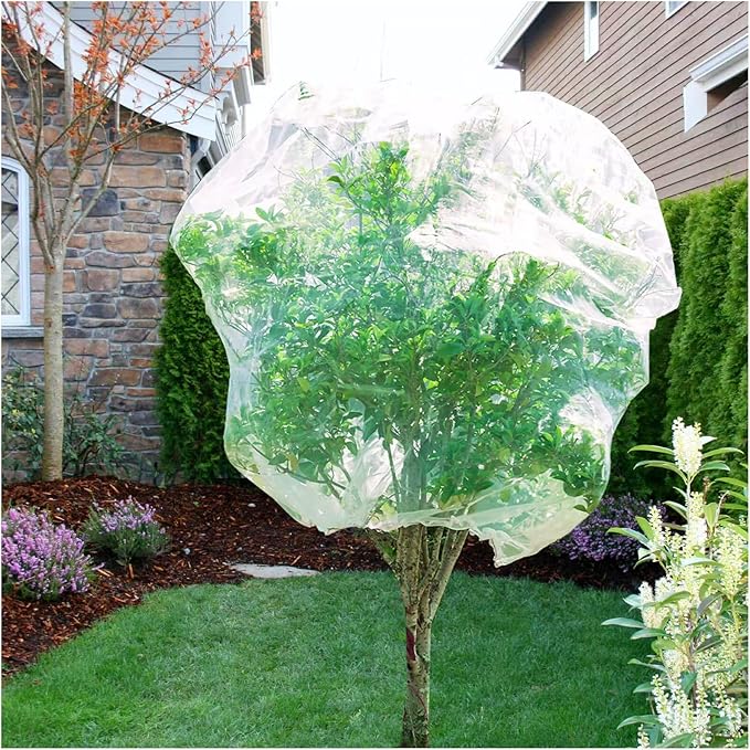 6.6 x 6.6 Ft Large Fruits Netting Cover with Zipper and Drawstring, Insect Bird Barrier Netting to Protect Fruit From Birds for Bugs,Cicadas, Insects, Garden Insect Netting for Plant Cover Transparent