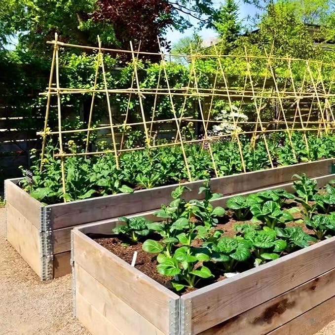 Bamboo Stakes 4FT Garden Stakes Plant Stakes for Indoor and Outdoor Climbing Plants Poles Sticks Support Tomatoes Eggplants Beans 25 Pack