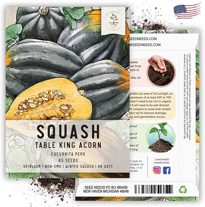 Seed Needs, Table King Acorn Winter Squash Seeds - 45 Heirloom Seeds for Planting Cucurbita Pepo - Non-GMO & Untreated Vegetable for an Outdoor Garden (2 Packs)