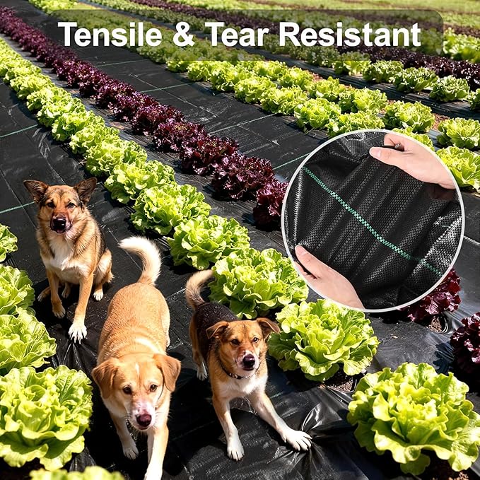 Weed Barrier Landscape Fabric 4FT x 100FT - 3.2oz Heavy Duty Weed Control Mat, High Permeability Woven Geotextile Fabric for Driveway, Gravel, Yard Ground Cover, Greenhouse Gardening (4FT x 100FT)