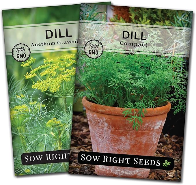 Sow Right Seeds - Dill Seed Collection for Planting - 2 Varieties Compact and Bouquet - Non-GMO Heirloom Packet with Instructions to Grow Kitchen Herb Garden - Indoors or Outdoors - Fragrant Culinary