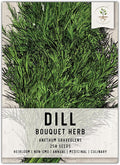 Seed Needs Dill Seeds for Planting Bouquet Herbs - Non-GMO Heirloom & Untreated Herb Seed to Plant a Home Grown Indoor/Outdoor Garden (1 Pack)