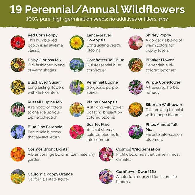 Eden Brothers Missouri Wildflower Mixed Seeds for Planting, 1 lb, 480,000+ Seeds with Lupine, Coreopsis | Attracts Pollinators, Plant in Spring or Fall, Zones
