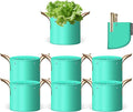 7 Pcs 2 Gallon Potato Grow Bag, PE Garden pots Plant Grow Bag with Branch-Binding Holes and Drain holefor for Vegetables, Strawberries, Flowers