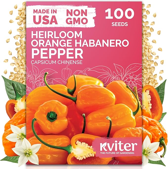 KVITER 100 Orange Habanero Hot Pepper Seeds (Capsicum Chinense) - Habanero Extra Hot Pepper, Heat Tolerant, Heirloom, Non GMO Seed - Vegetable Seeds in Seed Packets for Garden, Container, Greenhouse