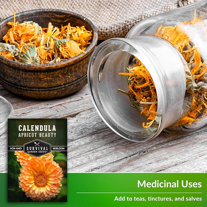 Apricot Beauty Calendula Seeds for Planting – Heirloom Flower with Soft Peach & Pastel Blooms – Edible Flowers, Medicinal Pot Marigold – Survival Garden Seeds (3 Packs)