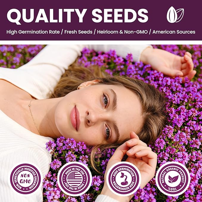 20000+pcs Purple Creeping Thyme Seed for Planting, Non-GMO Heirloom Perennial Ground Cover Flowers Seeds, Lawn Alternative, Fragrant Herb Seeds for Lawns & Paths Garden Backyard