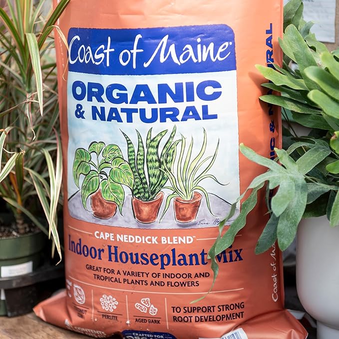 Coast of Maine (8qt) Cape Neddick Blend Organic and Natural, Indoor Houseplant Mix, Great for Indoor and Tropical Plants and Flowers