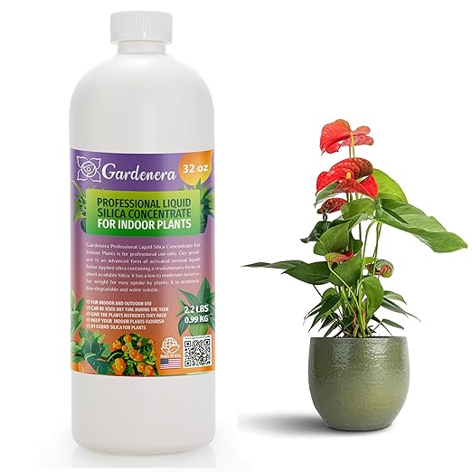 𝐏𝐑𝐎𝐅𝐄𝐒𝐒𝐈𝐎𝐍𝐀𝐋 Liquid Silica Plant Supplement - 32oz - Indoor Plants Liquid Silica Boost Fertilizer - Stronger Stems & Healthy Leaves for Indoor & Outdoor Indoor Plants (Makes 180 Gallons)