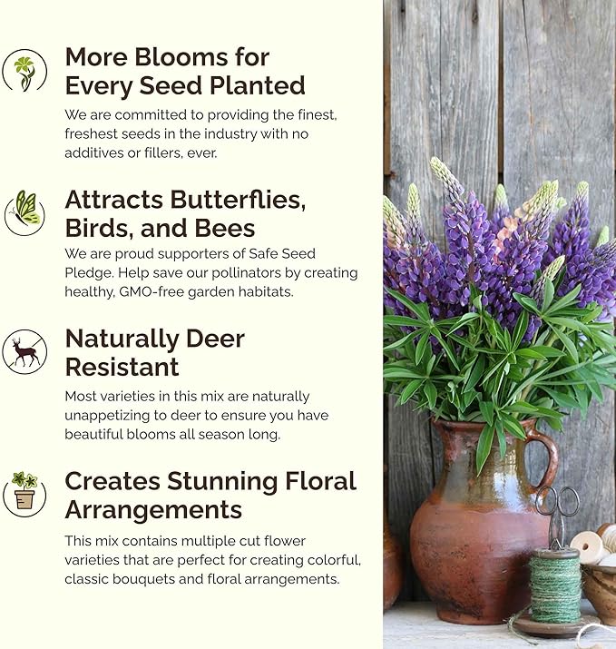 Eden Brothers Texas Wildflower Mixed Seeds for Planting, 1/4 lb, 120,000+ Seeds with Cornflower, Birds Eyes, African Daisy, Attracts Pollinators, Plant in Spring or Fall, Zones 3, 4, 5, 6, 7, 8, 9, 10