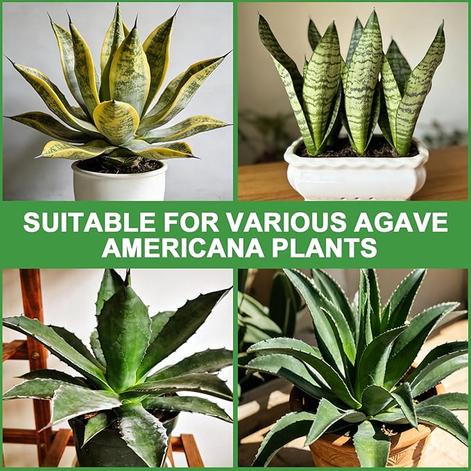 Organic Snake Plant Potting Soil 2qt- Well-Draining Nutrient-Rich Mix for Healthy Roots & Faster Growth, Natural Soil for Sansevieria Plants